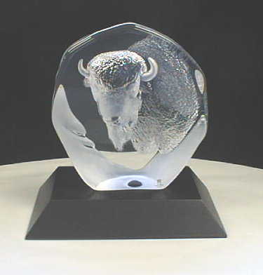 Swiss Buffalo Head